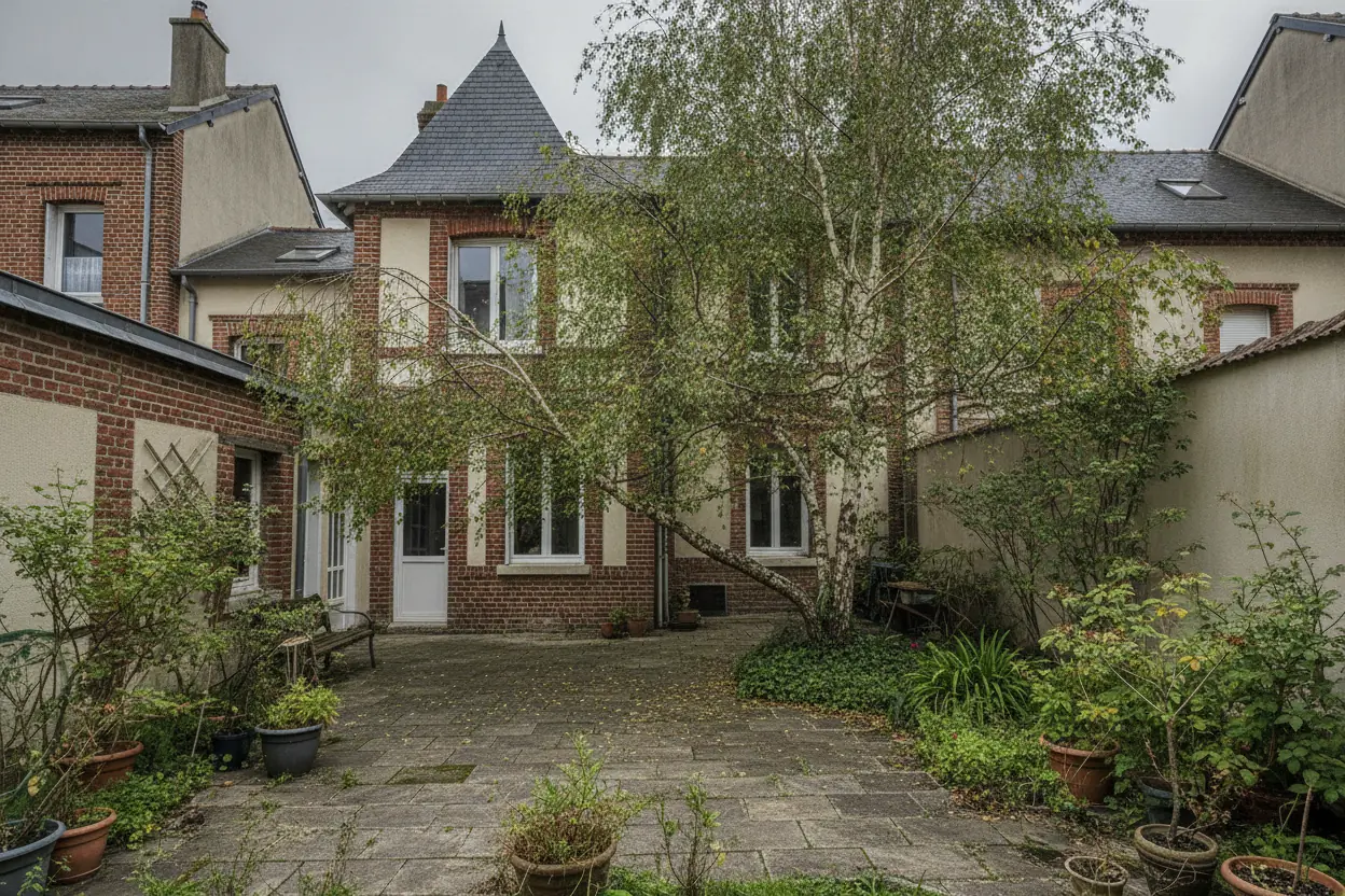 Bouleau surplombant une terrasse à Saint-Marc, Rouen